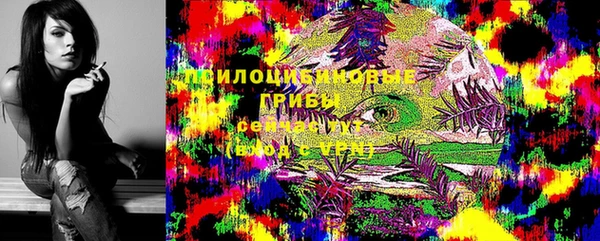 кокс Волоколамск