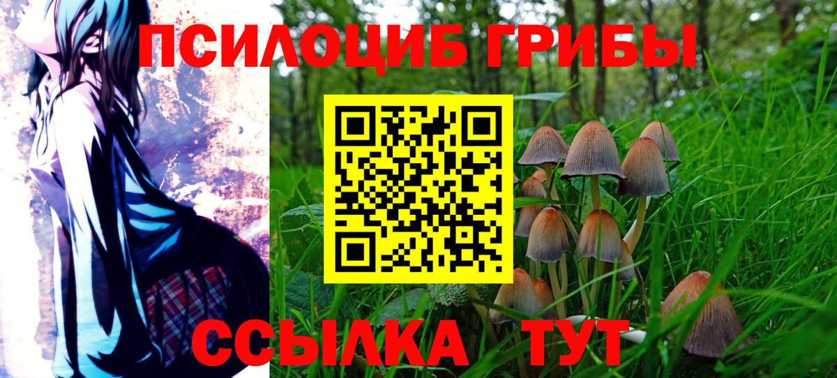 Углич  Псилоцибиновые грибы Magic Shrooms  Вход с VPN 