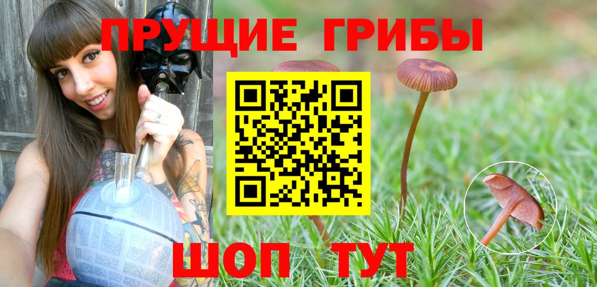 Галлюциногенные грибы прущие грибы Углич